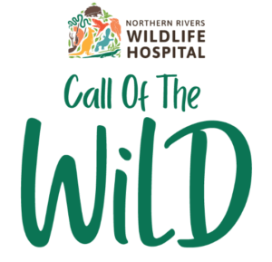 Call of the Wild - Northern Rivers Wildlife Hospital