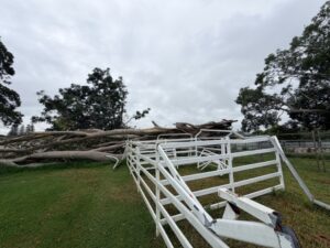 BallinaNewsDaily_AAS yard damage