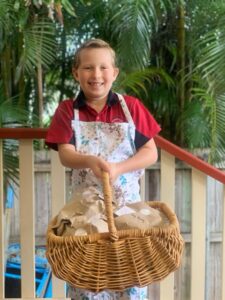 Ballina News Daily_Little Noah – Delivery