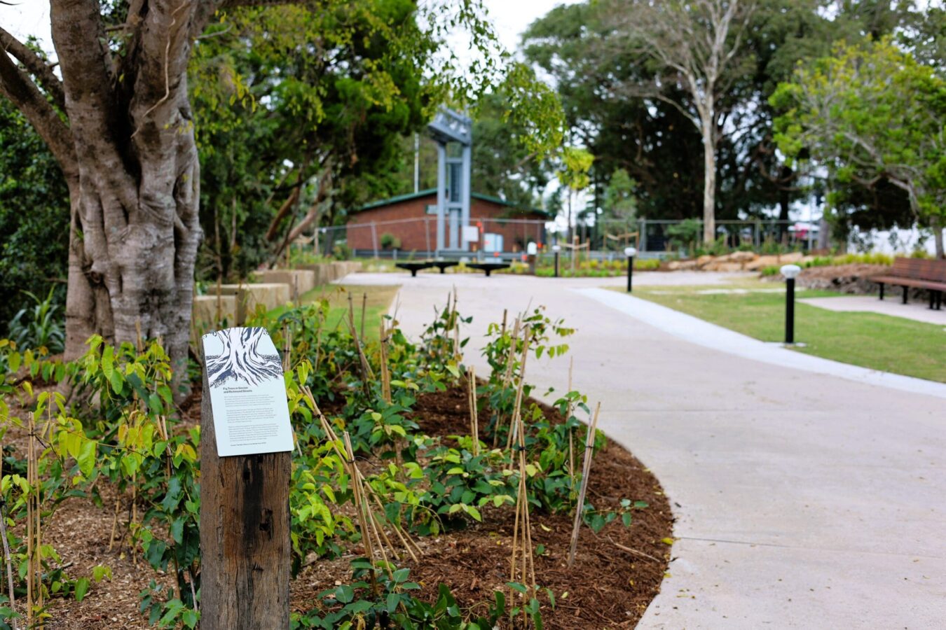 Ballina News Daily_Wardell Community Green Space