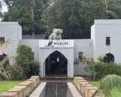 Ballina News Daily. BBWildlife