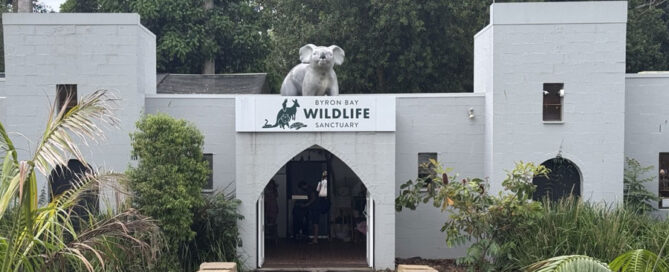 Ballina News Daily. BBWildlife