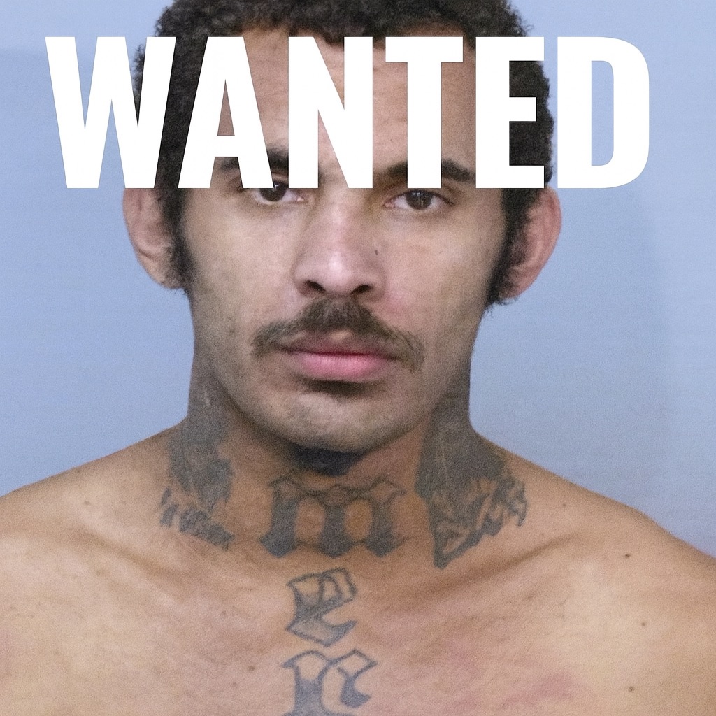 BallinaNewsDaily_Ochre Wood