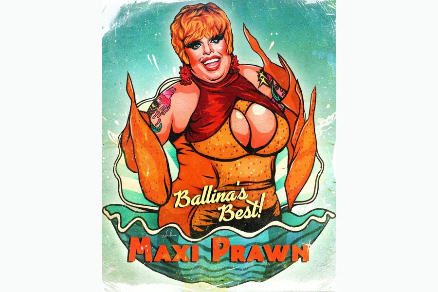 BallinaNewsDaily_Maxi shield