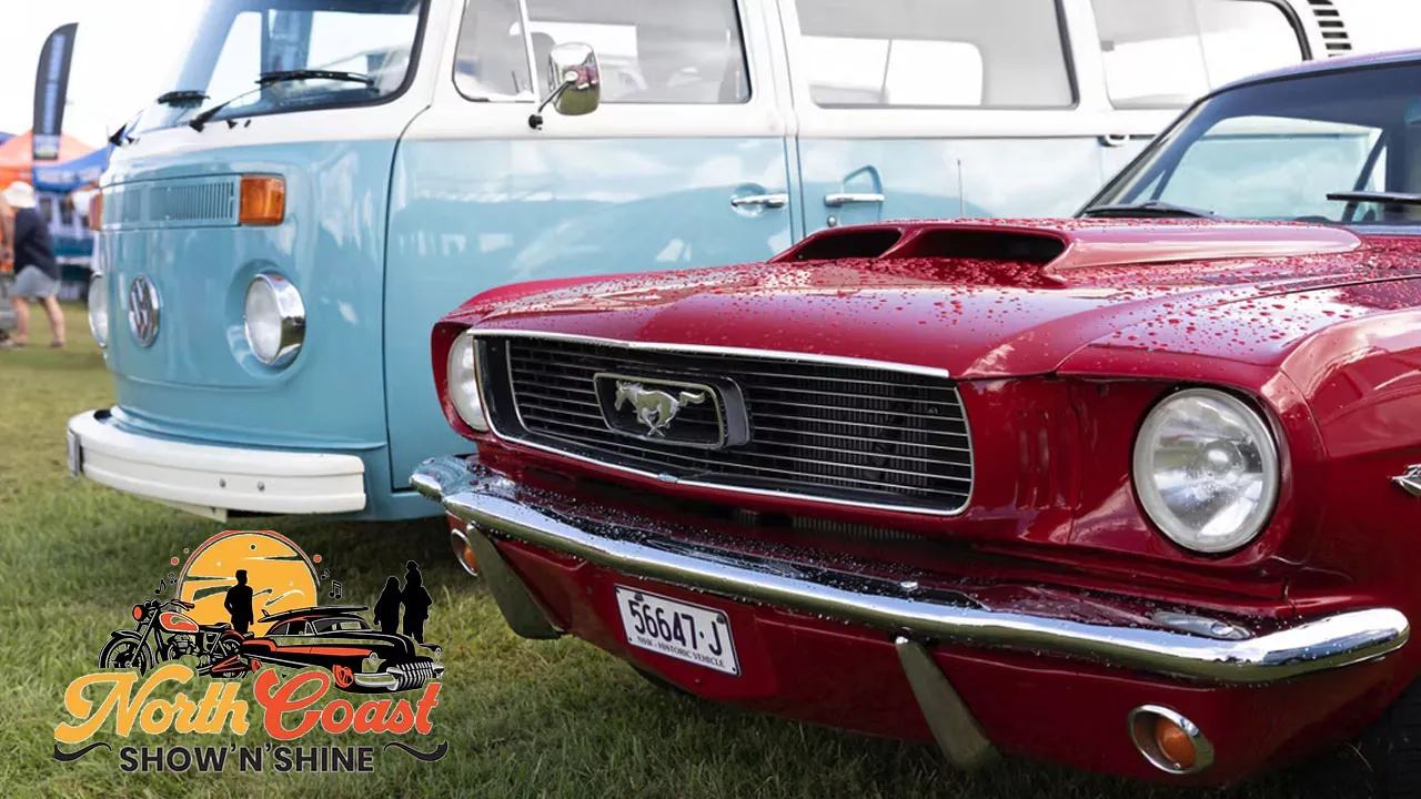 northcoastshownshine