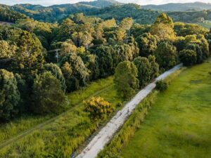 BallinaNdewsDaily_Northern rivers rail trail view