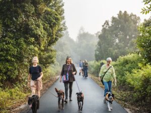 BsallinaNewsDaily_rail trail people